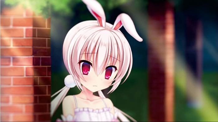 Natsuki Yamagiwa