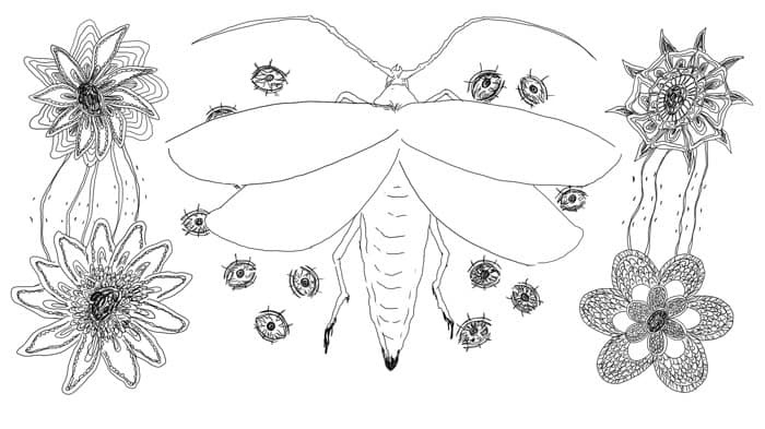Selected Works from Second-Year Animation Students